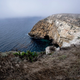 Illustration for article titled Exploring Santa Cruz Island
